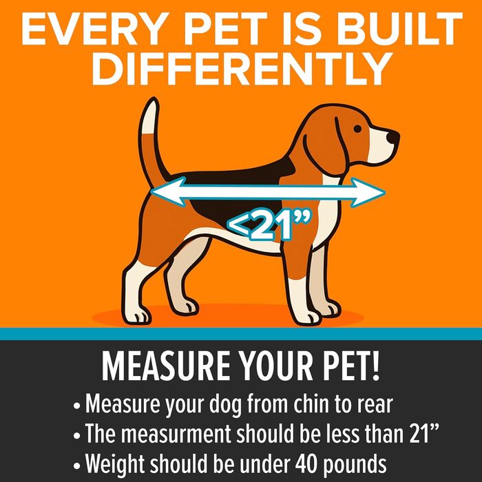 Автокрісло для собак K&H Pet Products Buckle N' Go, сірий, розмір Small, 53 x 48 x 48 см