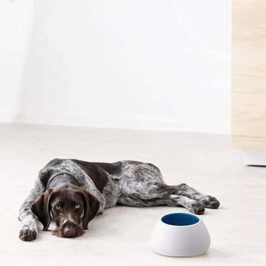 Навіс для собак Navaris Design з кераміки - велика миска для корму - миска для собак, миска для їжі - миска для кокер-спанієля та собак з довгими вухами - миска для собак з довгими вухами біло-блакитна