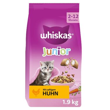 Сухий корм для котів Whiskas Junior з куркою, набір 5 x 800 г