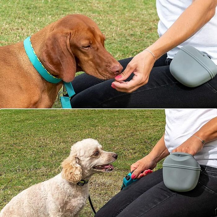 Силіконовий ласощівник для собак - портативна сумка для тренувань з магнітною застібкою та кліпсою для талії
