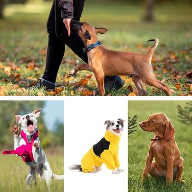 Зимовий теплий комбінезон для собак, водонепроникний, XL