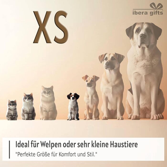 Персоналізований нашийник для собак, з іменем, середнього розміру, 35-50 см, світловідбиваючий (M)