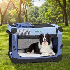 колір: блакитний