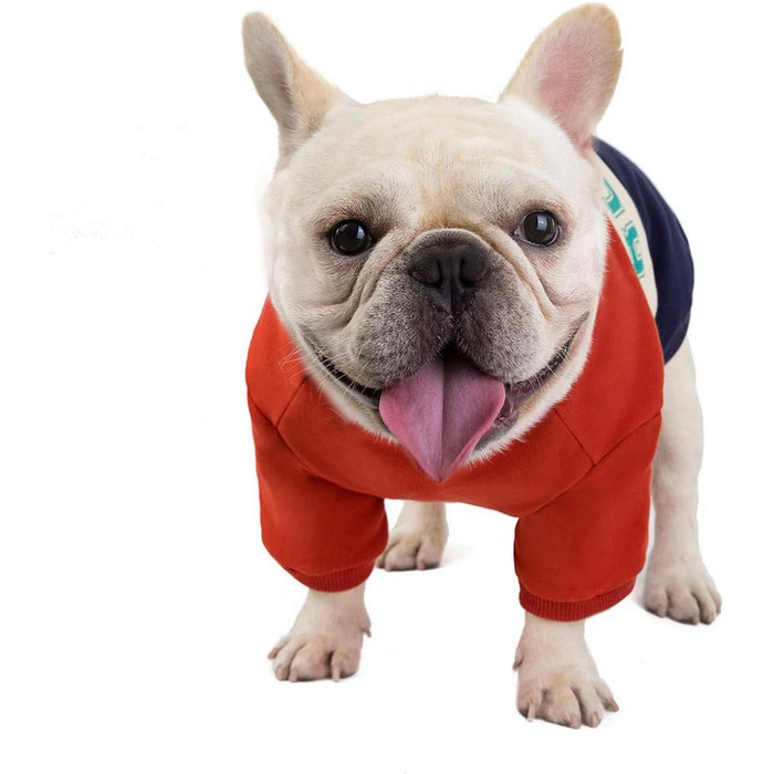 Світшот для Французького Бульдога: теплий костюм для маленьких собак та котів, Патчворк (XXL, Бордовий)