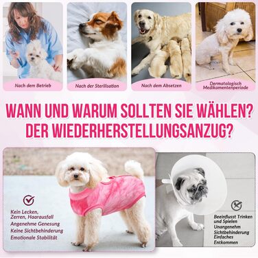 Комбінезон для собак після операції Eyein, рожевий, XL (55-63 см) - захисний одяг, альтернатива електронного нашийника