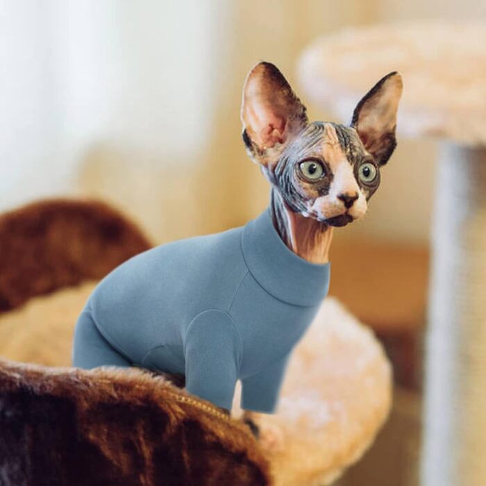 Светр для котів Sphynx, після операції, з чотирма лапами, одяг для котів, універсальний, для Sphynx, Cornish Rex, Devon Rex, Peterbald