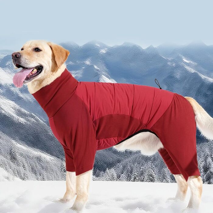 Зимовий одяг для собак, теплий, вітронепроникний зимовий пуховик з коміром, регульований, для маленьких, середніх та великих собак, для прогулянок, хаджінгу та кемпінгу, сірий, розмір L (червоний, розмір L)