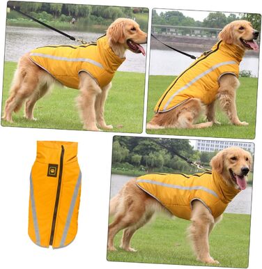 Теплий зимовий одяг для собак: куртка, плащ для прогулянок та відпочинку | iBasenice