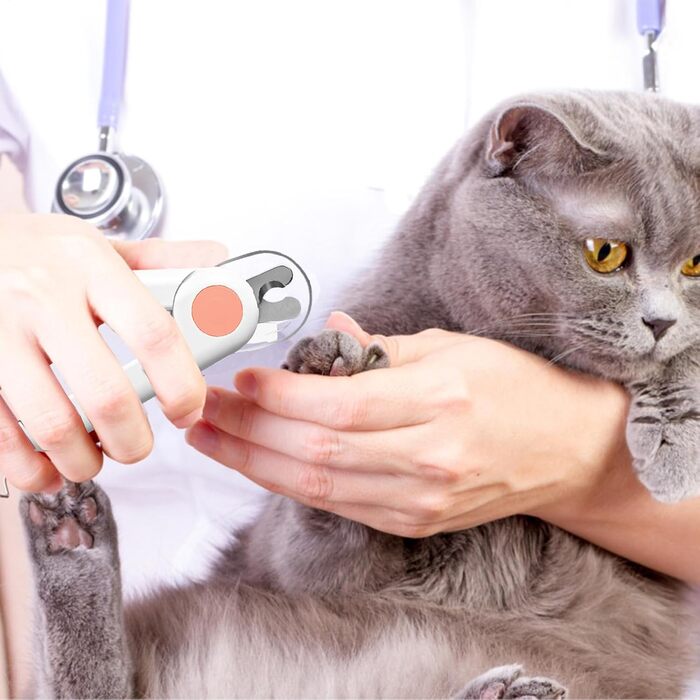 Ножиці для собак | Ножиці для обрізання кігтів собак, інструмент для догляду за лапами, шліфування для малих тварин, птахів, кошенят, обрізка кігтів для домашнього догляду за тваринами, рожеві