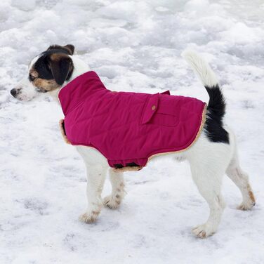 Зимовий теплий одяг для собак Citétoile - куртка з флісу для собак, з отвором для шлейки (L, фіолетовий)