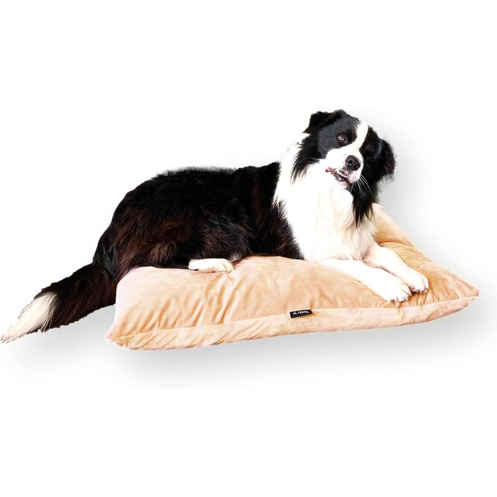 4L Textil ZOE: Лежанка для собак великих порід, 60x50 см, колір капучино (імітація велюру), знімний чохол на блискавці