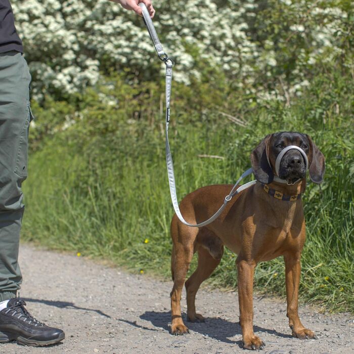Повідок Total Pet Figur 8 для собак, плоский, з антизаплутуючим механізмом, функцією анти-тягнення, відбивною стрічкою та м'якою нашийною підкладкою, 210 см