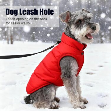 Теплий зимовий одяг для собак: водонепроникна куртка з флісу для великих собак. Зелений колір, розмір S, червоний.