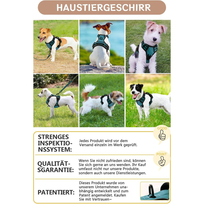 Нашийник для собак BaoCheng Anti Pull, дихаюча сітка, 3 пряжки, безпека, полегшення кашлю, світловідбиваючий, M, темно-зелений