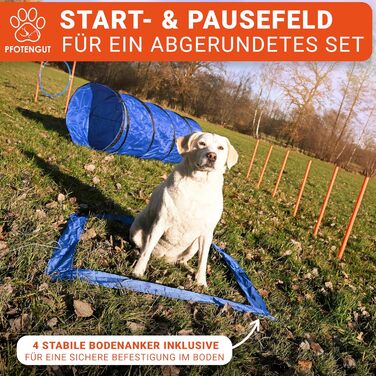 Набір для дресирування собак PfotenGUT® Agility Set [11 предметів] - універсальний набір для аджиліті з тунелем, слаломом та іншим обладнанням для тренування та спорту з собаками - з аксесуарами та сумкою для транспортування (Великий)