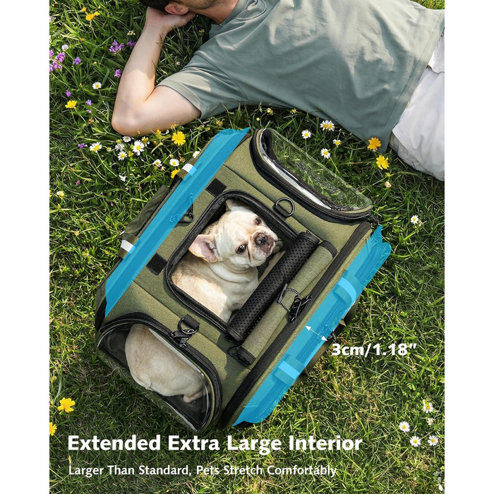 Переноска для котів та собак Pecute XL (55x38x35 см) - складна сумка-переноска з вікном, м'яким килимком, для авто, подорожей, ветеринара, зелена