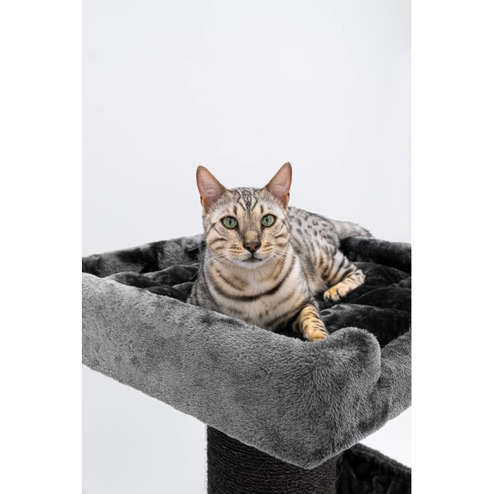 Когтеточка для великих котів Petrebels Maine Coon, 117 см, преміум-якість, стовпи Ø20 см, чорна
