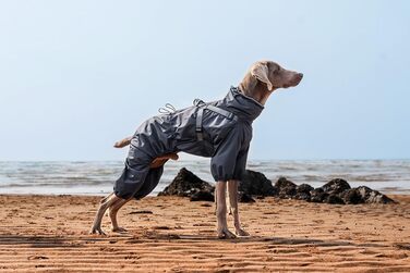 Водонепроникний комплект для собак BT Bear: жилет, дощовик, жилетка, шлейка, 6XL, сірий