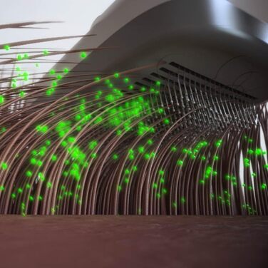 PiddiPet Іонна щітка для грумінгу тварин - 2 шт. Електрична щітка для собак та котів проти ковтунів та підшерстка, зменшує статичну електрику та випадання шерсті, м'яка, самоочисна, для чутливої шкіри