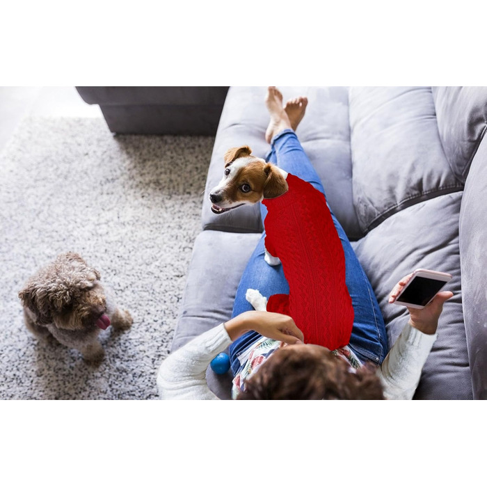 Теплий в'язаний пуловер для собак з коміром-горловиною, однотонний, для цуценят та собак середніх розмірів (зелений, розмір S/M). Також доступні: великий розмір, червоний, однотонні моделі Getaway Solids.