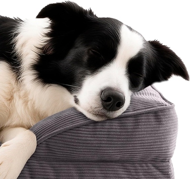 Ортопедичне ліжко для собак зі структурою, 90х65 см, для середніх порід