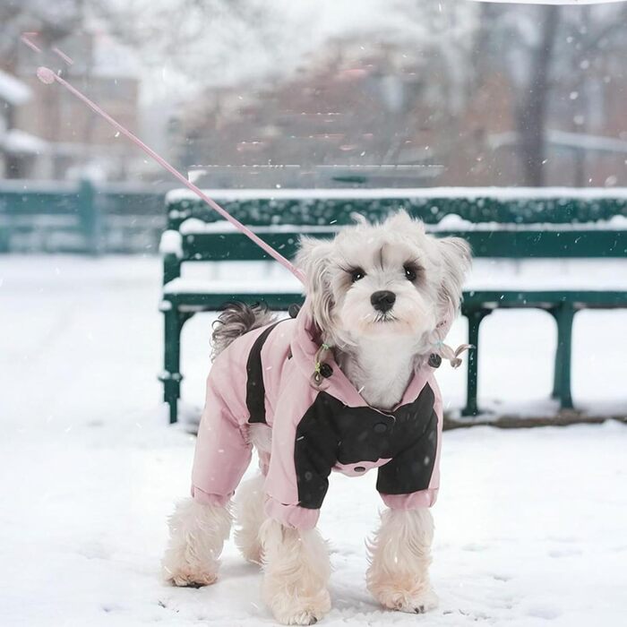 Зимовий теплий куртка для собак маленьких порід з капюшоном, водонепроникний, з підкладкою з графіту, розмір S, червоний