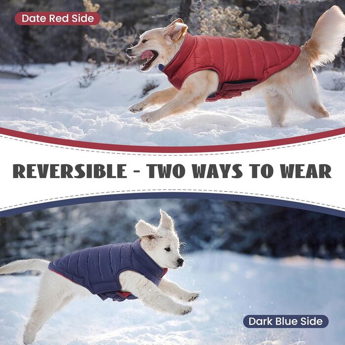 Зимовий теплий водонепроникний одяг для собак великих порід Lelepet, червоний XL