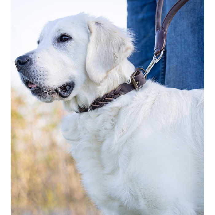 Сплетене шкіряне ошийник для собак – Міцний ручної роботи з преміум-шкіри буйвола Clarissa (M (36.0-45.0cm))