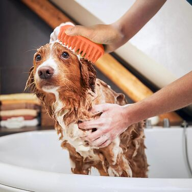 PETCUTE Щітка для собак і котів, гумова масажна щітка з м'якими силіконовими щетинками, для грумінгу, видалення шерсті, миється, неслизька (Помаранчевий)