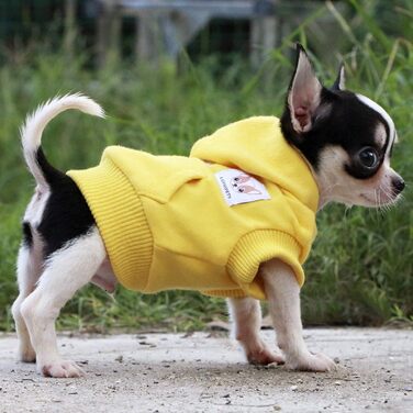 Теплий жовтий светр-худі для собак, цуценят чихуахуа, бавовна, розмір XXS