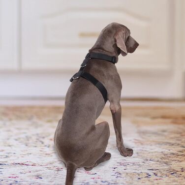 Шлейка для собак FEimaX для великих собак, тактична, не тягне, чорна, XL. Зручна, дихаюча, міцна, з м'якою підкладкою