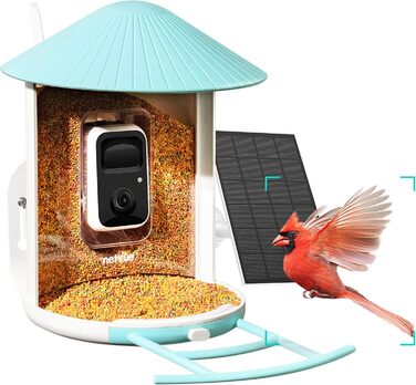 NETVUE Birdfy розумна годівниця для птахів з камерою, Wi-Fi, сонячною панеллю та безкоштовною AI-ідентифікацією птахів, автоматичний відеозапис, синя