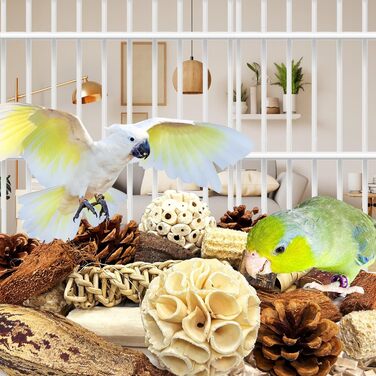 Іграшка для птахів Felicity, іграшка для папуг, іграшка для гризучих птахів, жувальна іграшка для птахів, аксесуари для клітки, аксесуари для хвилястих папужок, підходить для корел, хвилястих папужок та інших птахів