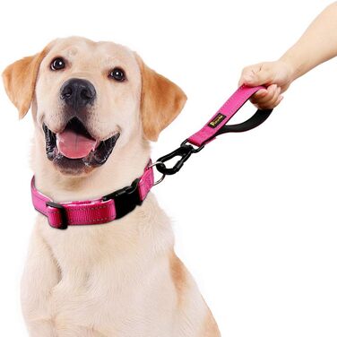 PLUTUS PET короткий повідок для великих собак 25,4 см, рожевий, з міцним карабіном і м'якою ручкою