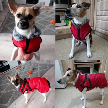 Зимові куртки для собак, жилети для собак з шлейкою, тепла куртка для собак, зимові куртки для собак для вітру та вологи, відбивачі, флісова зимова куртка для маленьких, середніх та великих собак (червоний, L) L червоний