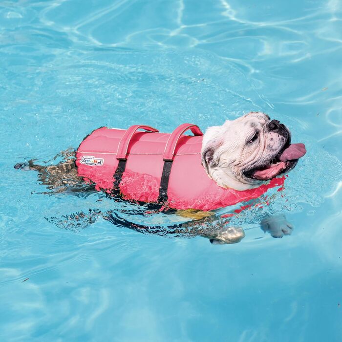 Рятувальний жилет для собак Outward Hound Granby Splash, розмір S