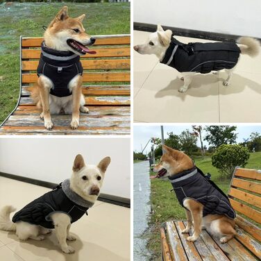 Водонепроникний теплий зимовий одяг для собак - куртка-жилет для цуценят та малих собак, червоний, розмір M (чорний, XL)