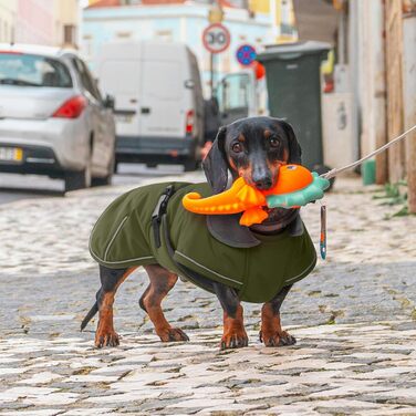 Зимовий теплий одяг для такси (S), водонепроникний зимовий одяг для собак, куртка для маленьких собак XS, зимовий одяг для собак з захистом живота та отвором для повідка, армійсько-зелений