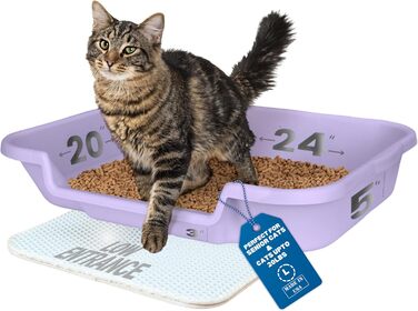 Котячий туалет Kitty Go Here Senior для літніх котів, без кришки, лаванда, США