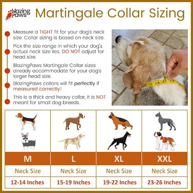 Шкіряний нашийник BlazingPaws Martingale для великих собак XL-XXL, 3,8 см, регульований, у стилі used-look, світло-коричневий