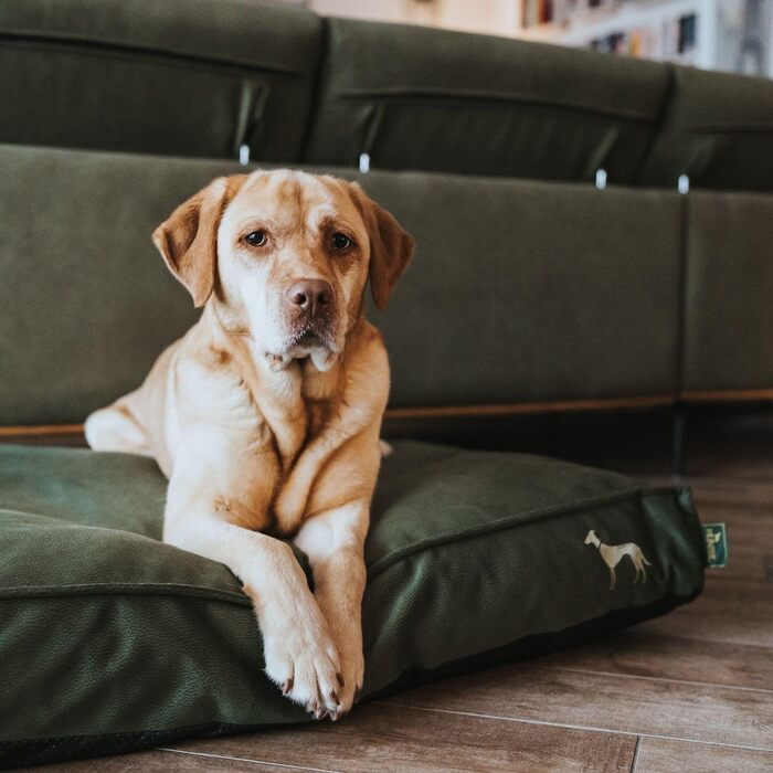 Ортопедична подушка для собак HUNTER Merida, колір оливковий, розмір XL