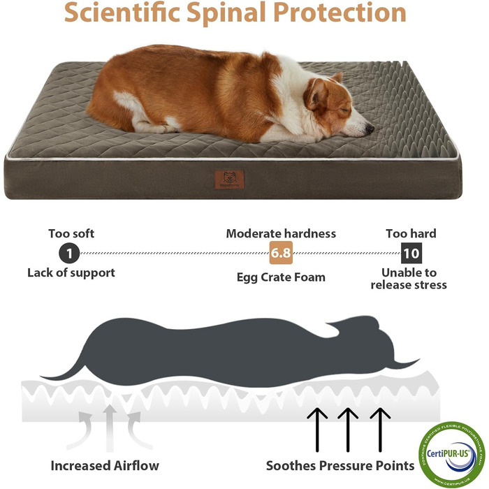 Ортопедичне ліжко для собак великих порід WNPETHOME, велике водонепроникне ліжко з знімним, пральним чохлом та неслизьким дном, м'яка підстилка з піни, темно-зелене, 61.0' x 43.0' x 4.0'