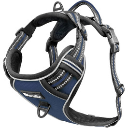 колір: блакитний