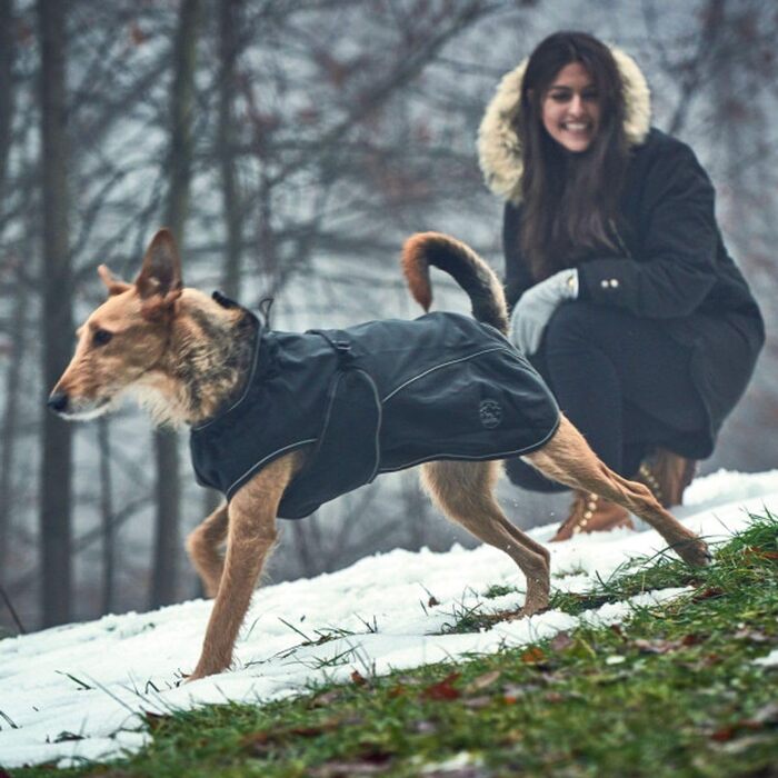 HUNTER UPPSALA Softshell куртка для собак, функціональна, 40 см, чорна