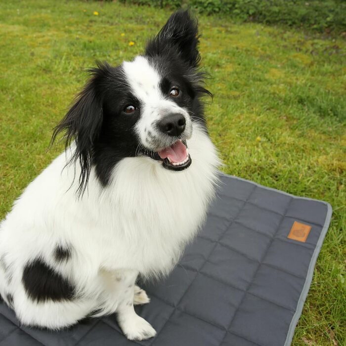 Килимок для собак your GEAR Lana, 90 x 60 см, бавовна Oeko-TEX, м'який, міцний, пральний, для дому та вулиці