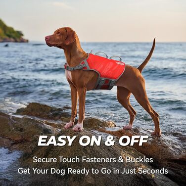 Жилет рятувальний для собак VIVAGLORY Neoprene, L, блакитний. Жилет рятувальний для собак, плаваючий жилет, допомога у плаванні