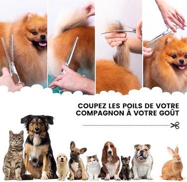 Набір для грумінгу собак: професійна шерстьова ножиця 4CR, нержавіюча сталь, гребінець, безпечний закруглений наконечник