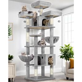 колір: синєгрань