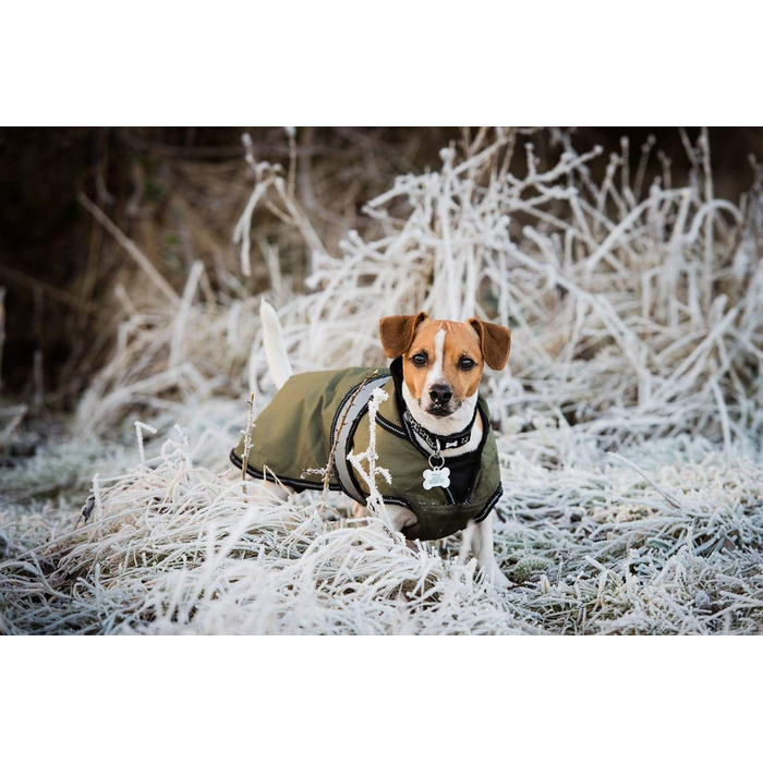 Датський дизайн: водонепроникний дощовик для собак з флісовою підкладкою, відбиваючими елементами, 30.5 см (хакі, 28 x 16 x 1 см)