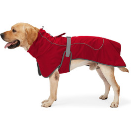 колір: гниль